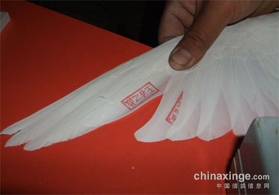 ���ɹ��ٺ��������輯���ֳ�(ͼ)