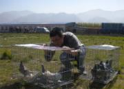 ɽ��ʢ�����蹫��̽�Ӽ�(ͼ)