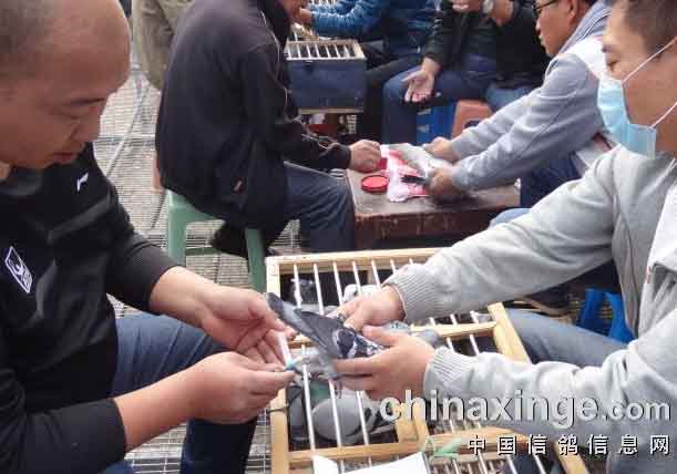 ͨ�ɳ��Ź���500�����������(ͼ)