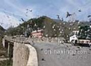 ɽ�����ѷɣ�Сѧ��ǰǧ����(ͼ)