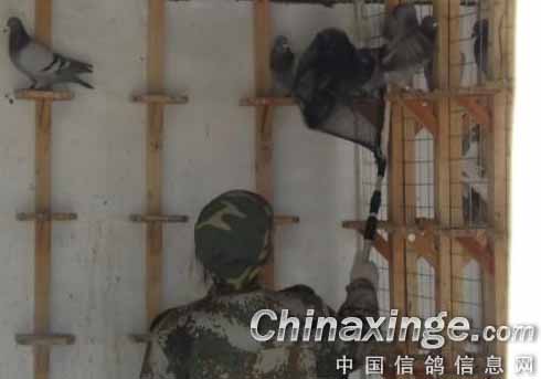 ���ִ�ɹ���300���Ｏ���ֳ�(ͼ)