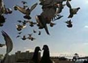 ������ռҷɼ���(��) 