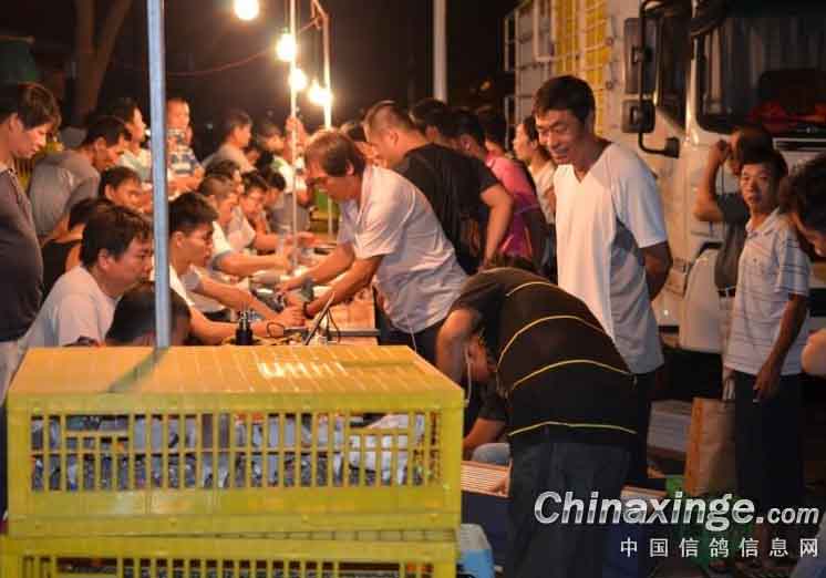 ����̨������ϱ�˫������������(ͼ)