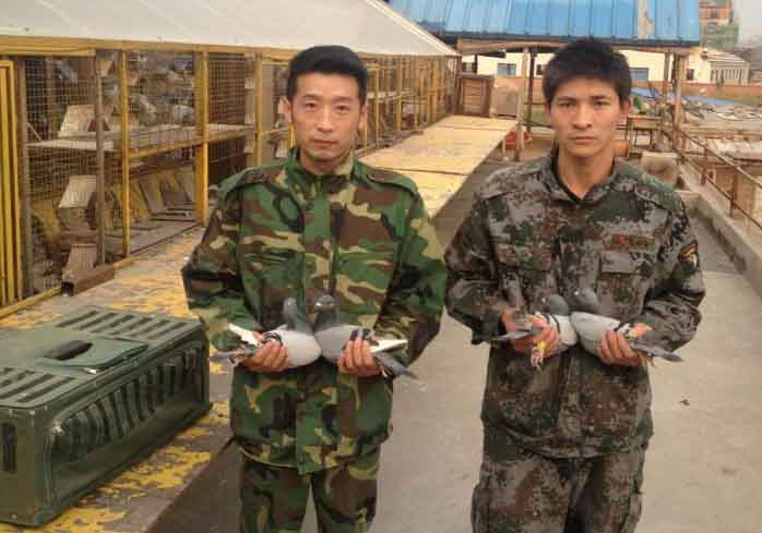 ��������԰300����һ�˰���ǰʮ(ͼ)