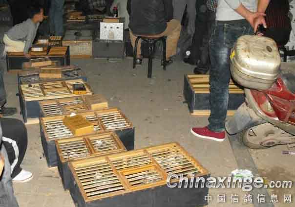 ������ͷ��ս�ھ������(ͼ)