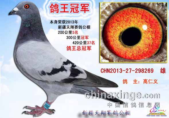 �½����蹫�����ǰʮ������������(ͼ)