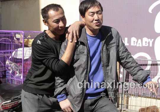 ���ɹų��500��������ɼ���¯(ͼ)