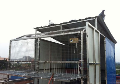 ������ҵĸ���(ͼ)