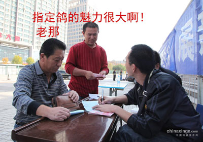 �½������11�������450���Ｏ��(ͼ)