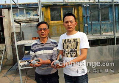 �����������ֲ��׽���Ǿ�һ�˶��(ͼ)