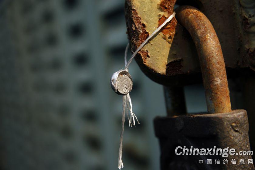 ����ǧԪ�ر�500����ڶ�վ����