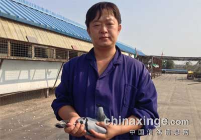 ������̨���300����ǰʮ����Ƭ