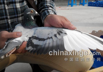 ��������춦����̽��