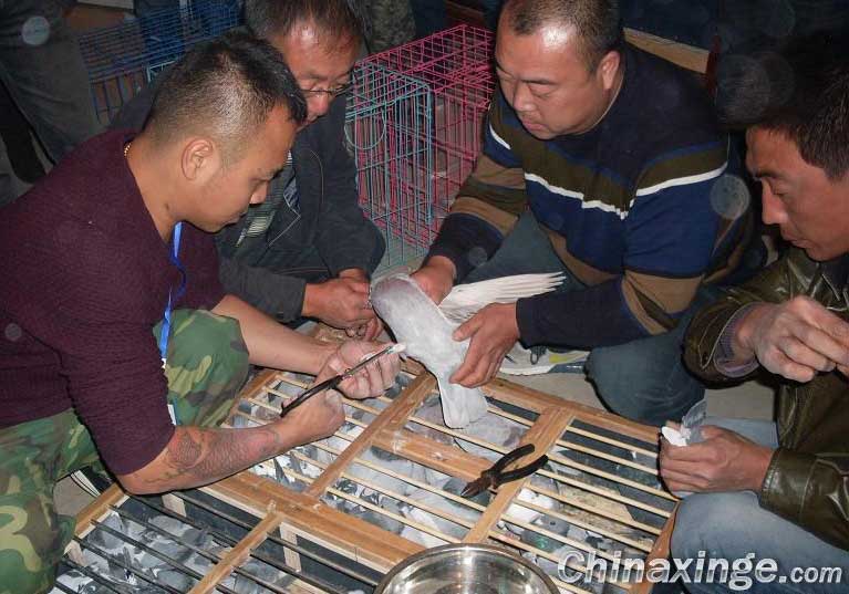 �����δ���Ѹ���� �ܾ��������Ϲ�(ͼ)