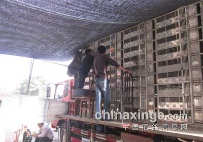 ���Ҹ�Э�＾��һ��8391����ʱ�ɼ�