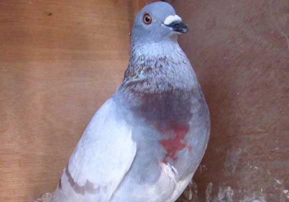 ��120�Ȼ���������������(ͼ)