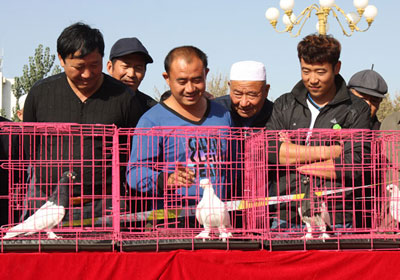 �½���������͸�����ɹ��ٰ�(ͼ)