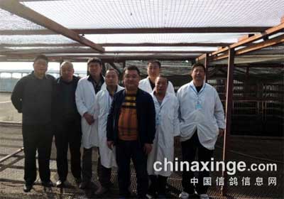 ��ͷ������500��������ɼ�(ͼ)