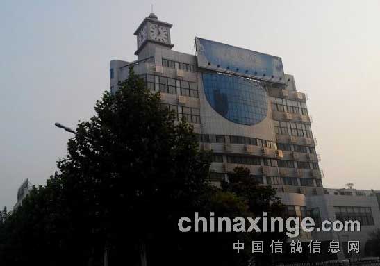 ��ս���� ѵ������(ͼ)