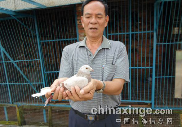 ����ΰ���Ĺ���200����ǰʮ��(ͼ)