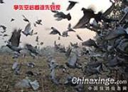 �ؼ����300����ȫ�̼�ʵ(ͼ)