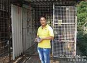 �������ݶԿ����ھ���(ͼ)