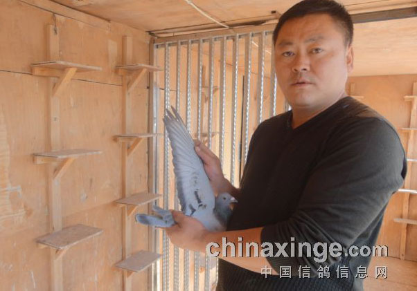 ���Ļ������������ռ�������Ѽ�(ͼ)