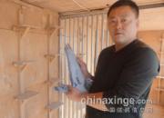 ���Ļ������������ռ�������Ѽ�(ͼ)