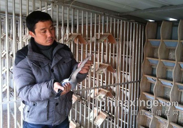 �߽�������������ᡱ(ͼ)