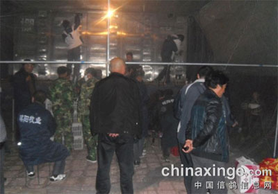 ������������300����Ԥ���ɼ�(ͼ)