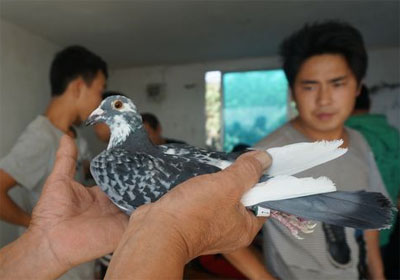 ������Ӿ������Ǿ���ȡ��������(ͼ)