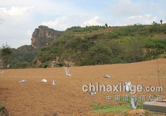 ¤����ɽ����ѵ���(ͼ)