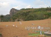 ¤����ɽ����ѵ���(ͼ)