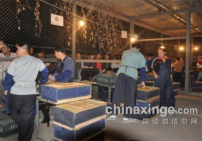 ������̨���500������ʱ�ɼ���¯(ͼ)