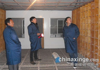 �����������ֲ�300����ɼ���¯(ͼ)