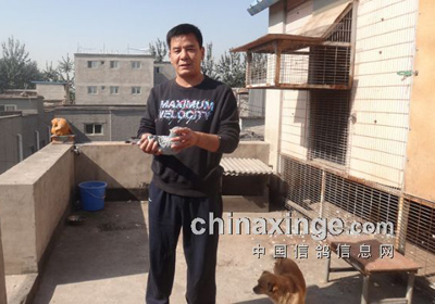 �������廷300������ĳ�ǰʮ��(ͼ)