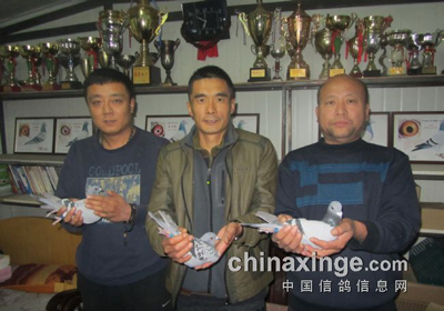 ���������＾650����ǰʮ����Ƭ