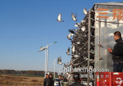 ��������500�������28���ӱ���(ͼ)