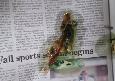 ����񿴿�����ʲô��