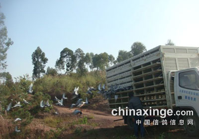 Ӿ�������ѵ�ŵ�ȷ�������(ͼ)