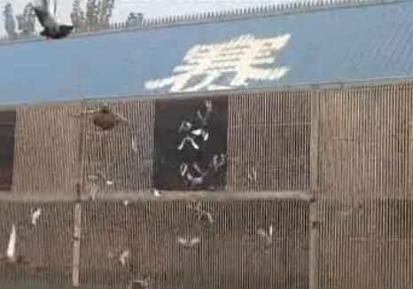 ������̩�������볿�ɾ���