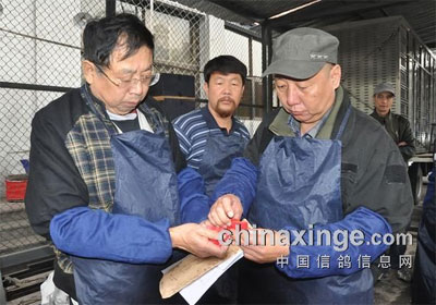 ������̨���3000Ԫ�رȼ����ֳ�(ͼ)