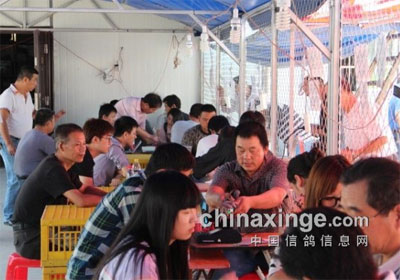 �人����200ר���׹ؼ���鳲(ͼ)