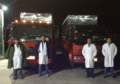 �򸣹����һ��һ���ӹ鳲130��(ͼ)