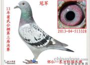 ��ɽ�˺���ɽ�����乫��������(ͼ)