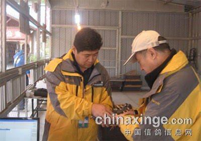 ����������ᡰ���񱭡��׹ؼ���(ͼ)