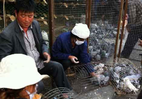 ɽ������300����Ԥ������(ͼ)