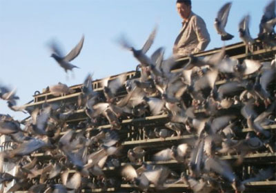 �������＾570������ٹ鳲(ͼ)