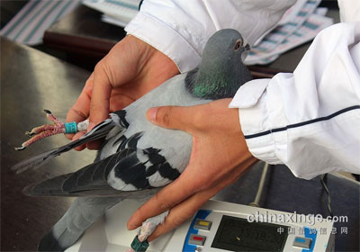 ����̽�������ظ������׹ش���(ͼ)