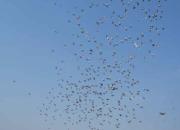 ¥���������ۿ��Ҽ�(ͼ)